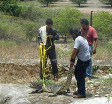 A picture of me and my PhD supervisor, Lisa Alexander, at my graduation.